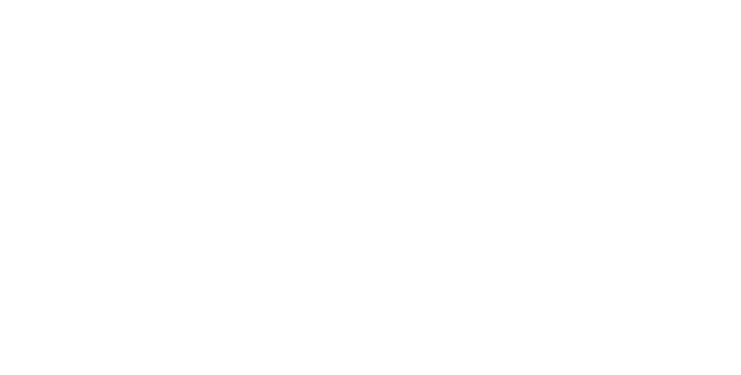 Leginsfin Consulting